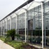 想建玻璃温室就到南京多旺温室工程_玻璃温室供应