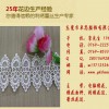 领先的刺绣花边厂家就是卓思服饰 广州刺绣花边厂家