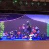 徐州完美的海洋生物展 海洋展、海洋展出租