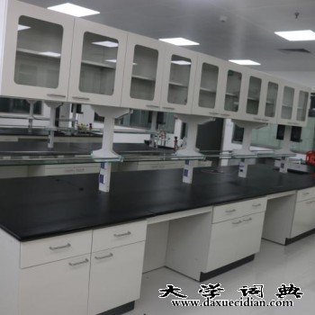 信凯科技实验台 全钢实验台 北京全钢实验台 实验室操作台图2