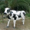 精致仿真奶牛雕塑玻璃钢动物雕塑推荐_运城