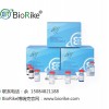 达尔锋生物大鼠白介素检测试剂盒·值得信赖的品牌产品 大鼠白细胞介素17AElisa试剂盒