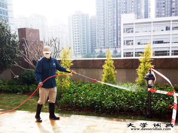 惠州白蚁防治工程
