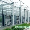 玻璃温室当选慧田温室工程-甘肃玻璃温室