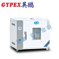 泰州涂料厂电热鼓风干燥箱YPHX-101TP