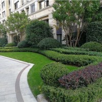 上海花园绿化养护,工程,公司,泽珐供