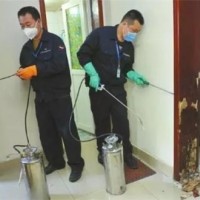 专业灭蚂蚁上海东诚有害生物防治有限公司