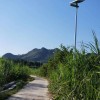 广西一体化太阳能路灯厂家|哪儿能买到好用的太阳能路灯呢