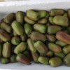 石家庄软枣猕猴桃繁育基地_优惠的软枣猕猴桃繁育基地出售