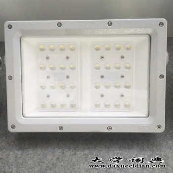 LED防爆灯50W图2