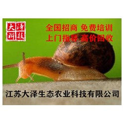 蜗牛养殖技术免费培训【江苏大泽科技】投资小_致富快