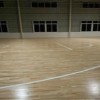 运动木地板_供应沧州优良的篮球馆-运动木地板