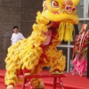 清远开业舞龙舞狮晚会年会表演13711263978宏盛龙狮团
