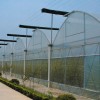 黄瓜苗温室大棚建造|山东实用的育苗温室