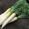 松山湖蔬菜配送价格_提供东莞超值的蔬菜配送