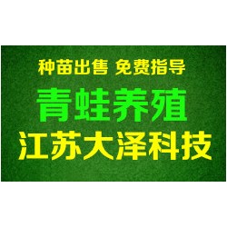 免费培训青蛙养殖技术「低成本蛙苗」【江苏大泽科技】