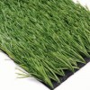 绿舒坦人造草坪公司供应报价合理的人造草坪-人造草坪公司