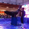 汕头海狮表演出#租#|东莞服务有保障的动物杂技表演