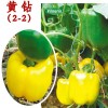 优质五彩椒种子-购买五彩椒种子优选久尚农业科技