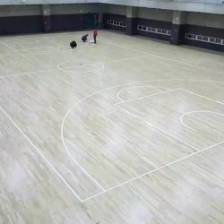 锦州实木运动地板批发-新款运动地板抚顺新大运动地板供应