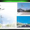 太阳能路灯生产厂家_青岛有品质的LED-太阳能路灯生产厂家