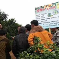 广西有机肥品牌-桂林销量好的有机肥供应