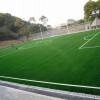 沈阳奥鹏体育设施工程专业提供足球场草坪|鸡西足球场草坪