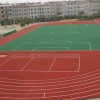 惠州塑胶跑道硅pu_塑胶跑道怎么样-惠州市力强体育设施有限公