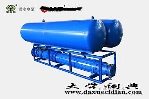 浮筒式潜水泵 (2)