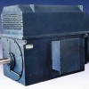 Y系列6kv450-8_高质量的临夏大中型高压电动机供销