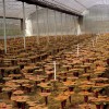 柳州种植温室大棚安装工程|广西创新型的广西种植大棚
