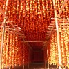 青州柿干价格-哪里有供应价位合理的柿饼