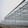 棚膜连栋温室工程|温室大棚专业设计建造