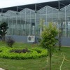 上饶蔬菜温室大棚-建造玻璃智能温室大棚就来黑土农科