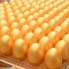 周年庆典用金蛋批发价-艺轩金蛋_专业的金蛋供应商