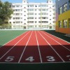 甘南学校体育场-划算的学校体育场推荐