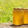 临朐洋槐蜂蜜批发价格_山夫园食品供应销量好的蜂蜜