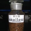 蜗牛酶品牌-哪儿能买到有品质的蜗牛酶冻干粉
