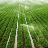 广西喷灌工程-广西嘉丰隆农业提供安全的喷灌设备