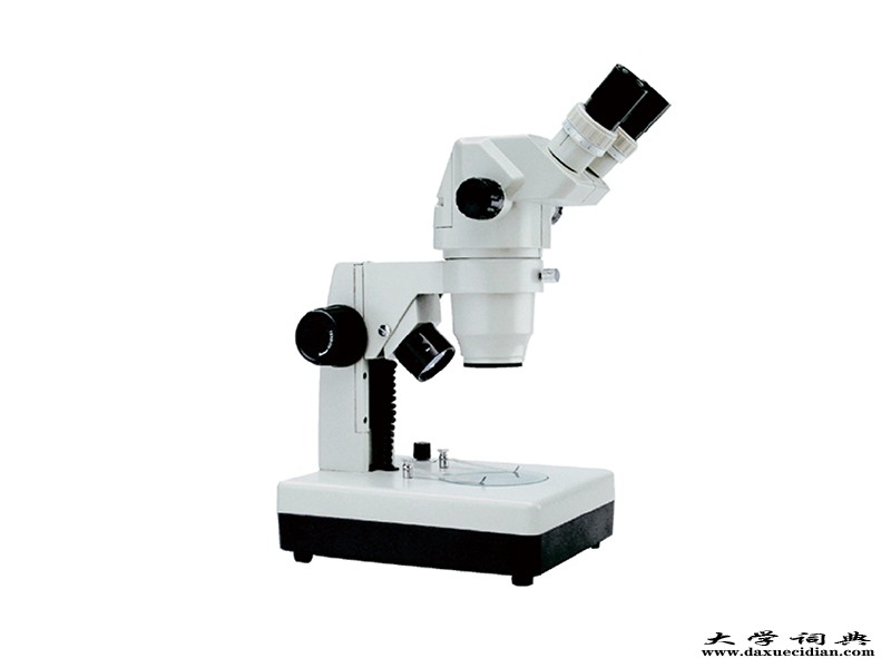 STM86立体显微镜