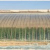 消雾流滴灌浆膜生产厂家-供应潍坊物超所值的灌浆膜