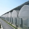 连栋温室多少钱一平-潍坊连栋温室专业建设