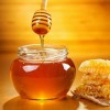 江苏洋槐蜂蜜批发价格|潍坊哪里有供应有品质的蜂蜜