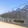 玻璃连栋大棚-玻璃温室大棚建造找鑫艺农温室工程