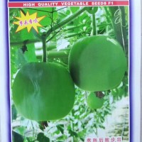 香芋冬瓜种子包装 香芋冬瓜种子出芽率