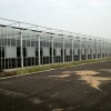 玻璃温室 智能温室 温室建设 连栋温室--佰辰温室材料公司