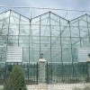玻璃温室|玻璃温室工程|玻璃大棚--佰辰温室材料公司建设