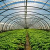 甘肃智能蔬菜植物工厂-山东信誉好的温室工程建设公司