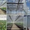 有机蔬菜大棚、有机蔬菜温室、有机蔬菜温室大棚--佰辰温室公司