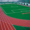 中国物美价廉的混合型塑胶跑道-广东汉唐体育设施专业供应混合型塑胶跑道